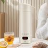 Electric Kettle Travel Small Water Boiler Insulation Cup Personal Heated Tea Coffee Mug Temperature