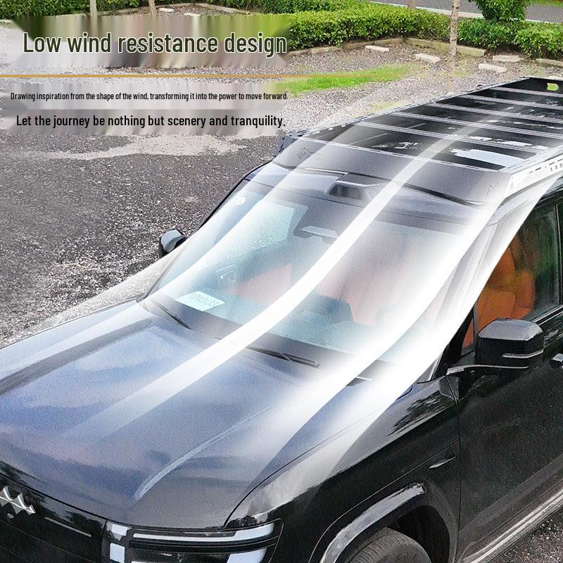 Formula Leopard Titanium 7 Черная Пантера Багажник на крышу Боковая лестница и Расширение-броня