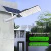 Super Bright Solar LED Outdoor Courtyard Light - 2025 High Pole Model