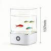 Color Changing USB Powered Lamp Dimmable LED Ambient Light Mini Fish Tank Light  Birthday Gift