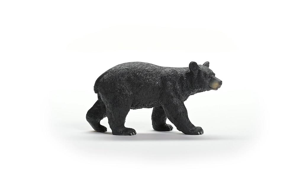Schleich Wildlife Американский черный медведь 14869