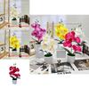 Butterfly Orchid Faux Potted Plant With Silk Cloth Material For Home Decor And Outdoor Photography