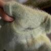 Ленивый ветер зеленый мохеровый свитер женский зимний утолщенный высококлассный сенсорный суперкрасивый свитер из вязаного норкового волоса