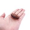 Interactive Funny Electronic Kids Battery Training Play Toy Cockroach