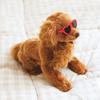 [Pet] Солнцезащитные очки в форме сердца