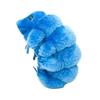 Giantmicrobes (Waterbear)