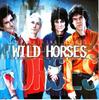 CD ROLLING STONES - Wild Horses VJCP15014 Virgin 1996 Japan Rock
