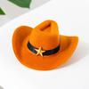 1 Set Cat Cowboy Cowboy Hat Costume Adjustable