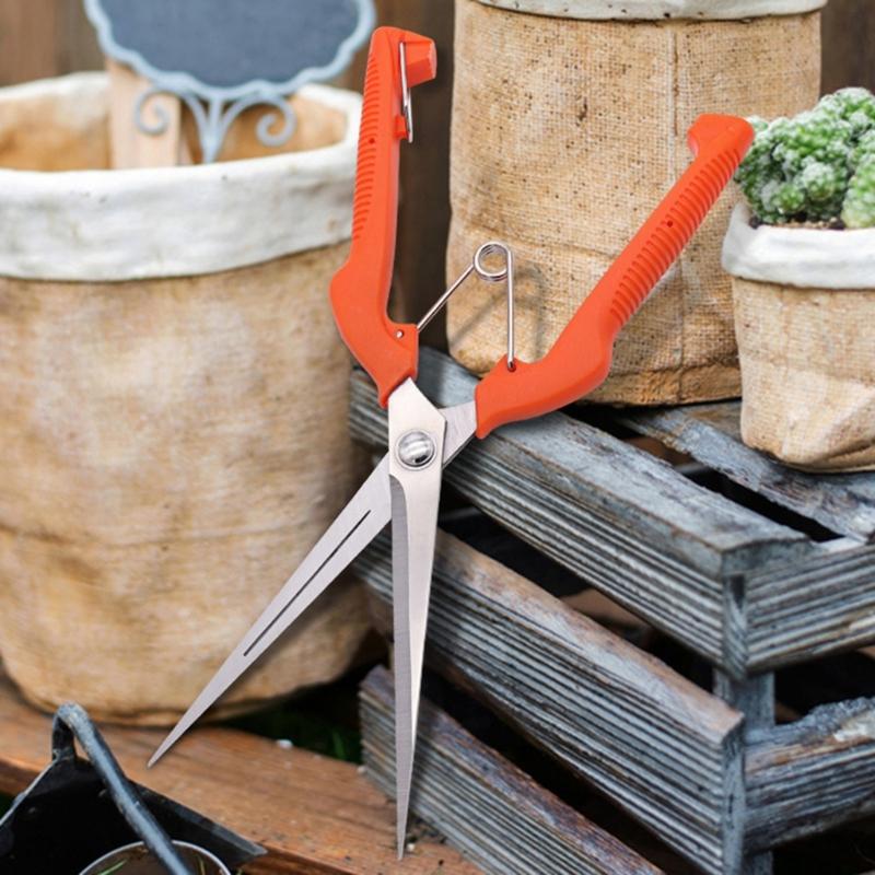 Овощная обрезка Обрезка фруктов Садовые ножницы Легкие Цветочные ножницы Для легкой работы Детальный уход за растениями