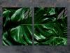 СТЕКЛЯННАЯ ЗАЩИТНАЯ ПАНЕЛЬ ДЛЯ ПЛИТЫ 85x52 MONSTERA