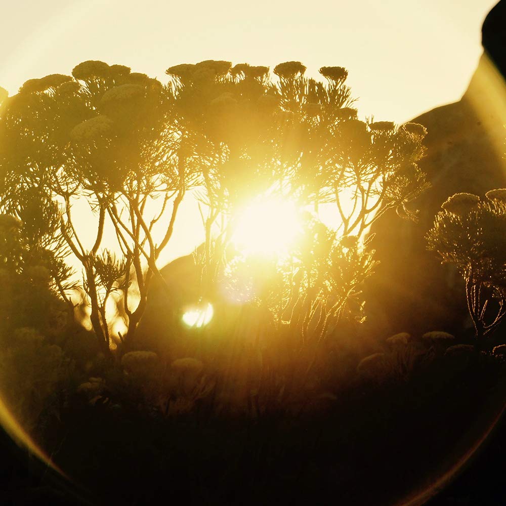 Сменный объектив для камеры PERGEAR, сверхширокоугольный объектив типа «рыбий глаз», ручной фиксированный фокус, совместимый с SONY NEX FS5 A6000 A6100 A6300 A6400