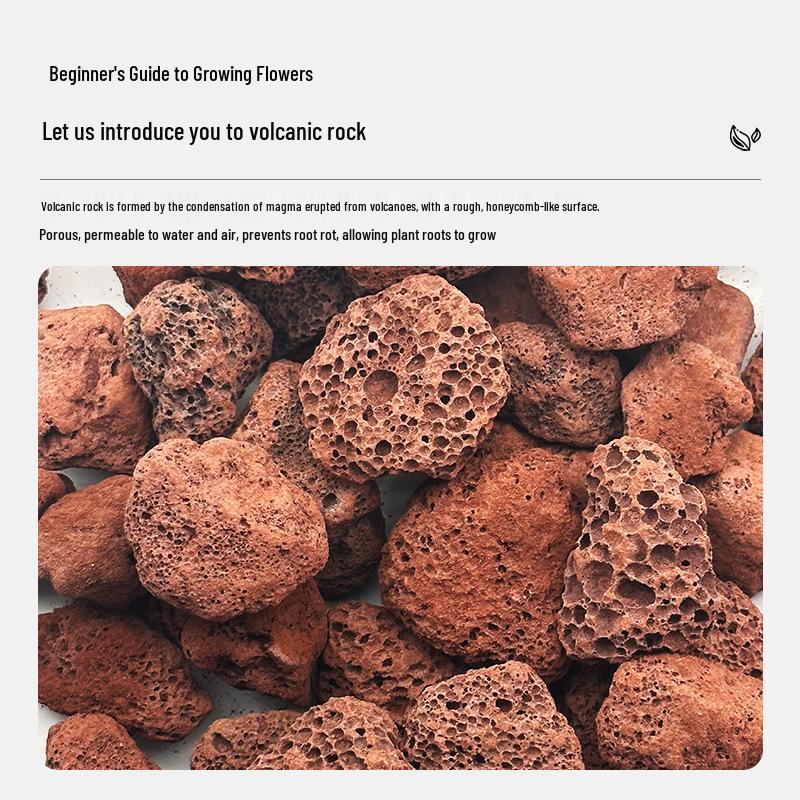 Red Volcanic Rock Granules – Nutrient Soil & Filter for Succulents, Orchids, and Fish Tanks
