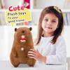 Plush Toys, Cute And Perfect Birthday Gifts For Friends And Classmates, Graduation Gifts