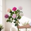 Moist Texture Rose, Home Decor & Wedding Bouquet Simulation Flower Wall
