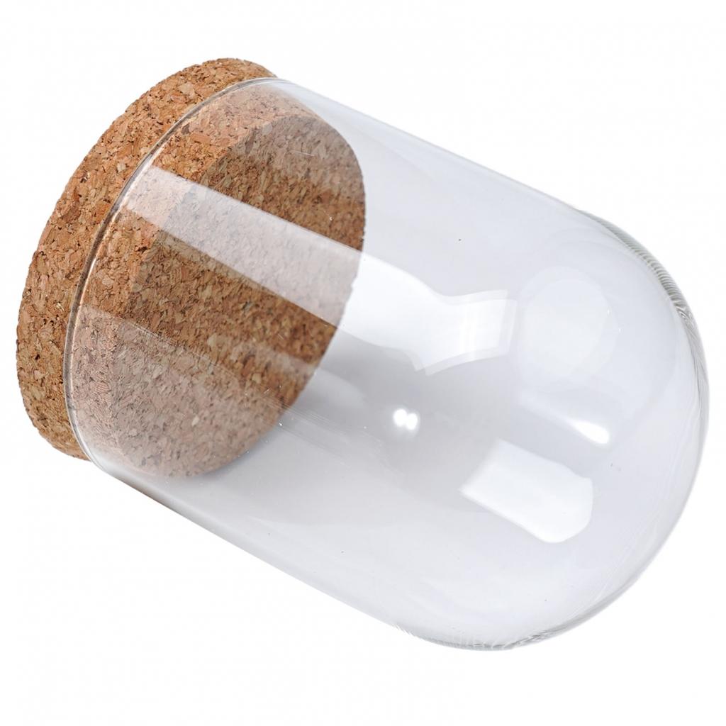 Glass Display Cloche Bell Jar Dome Flower Preservation Cover Wood Base DIY