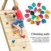 Rock Climbing Holds with Mounting Screw Holds Up To 230Lbs Kids Adults Rock Wall Holds