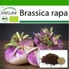 Органический - Репа - Милан Фиолетовый - 600 семян - С горшечным субстратом для лучшего выращивания - Brassica rapa