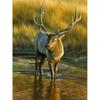 5D DIY полная круглая дрель алмазная живопись олень животное Алмазная вышивка набор крестиков мозаика подарок из смолы настенное искусство домашний декор