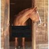 Stall Guards For Horse Barns Aisle Stall Guards Adjustable Straps Door Frame For Stable Pasture Equestrian Centers Riding Show