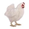 HANSA White Hen No.4172 35cm BH4172