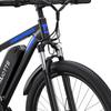 DUOTTS C29 750W 29" Electric Bike for Adults - 48V 15AH 100KM Range Shimano 21-Speed All-Terrain E-Bike