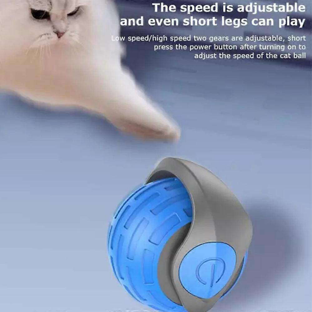 Speedy Tail 2.0,Speedy Tail Cat Toy,Speedy Tail 2.0 Cat Toy,Automatic Moving Toy