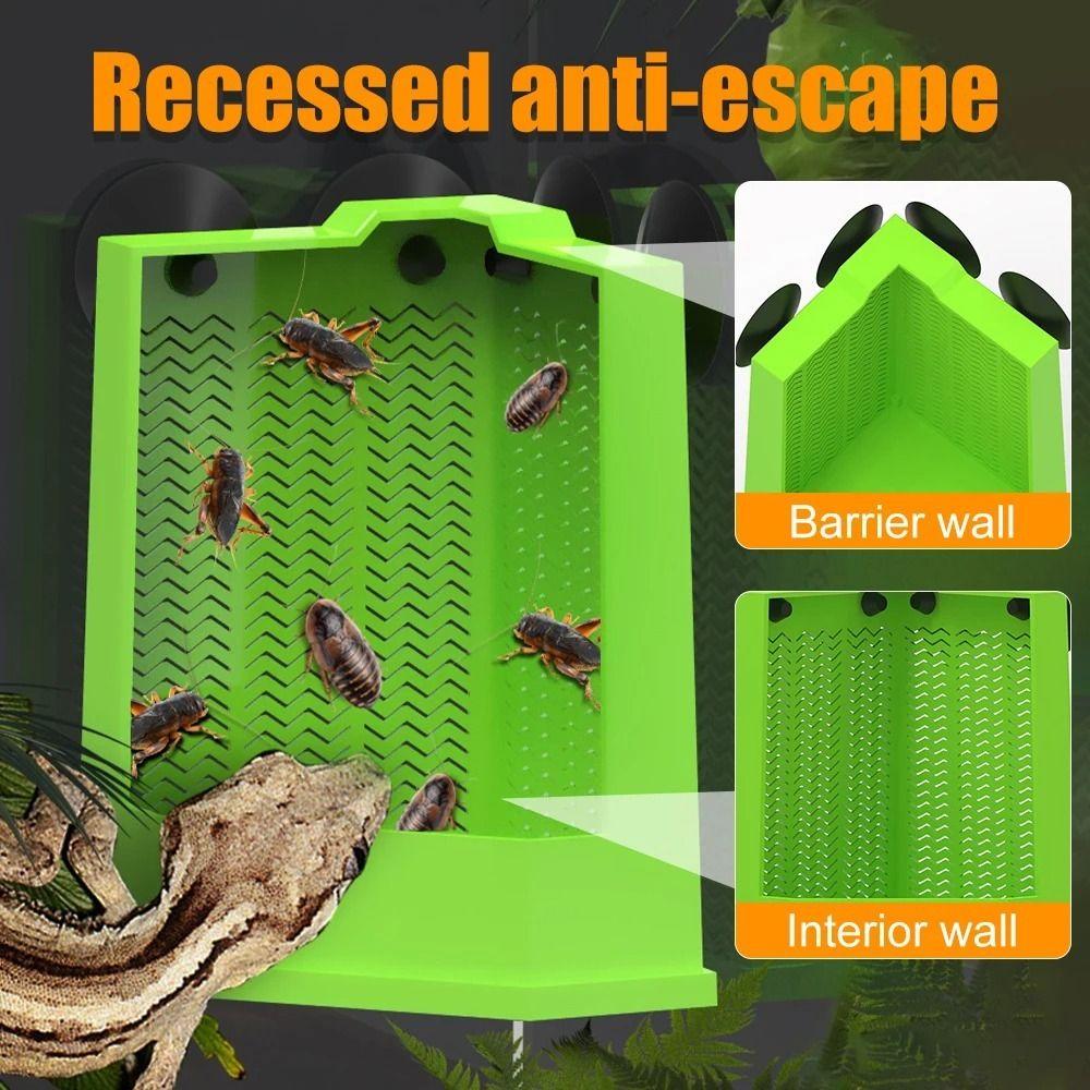 Hanging Suction Cup Live Insect Dish Suspendable Design Predator Feeder Leopard Gecko Care