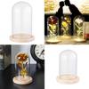 Home Decor Terrarium Jar Transparent Bottle Glass Cloche Wooden Base Dust Cover Flower Storage Box