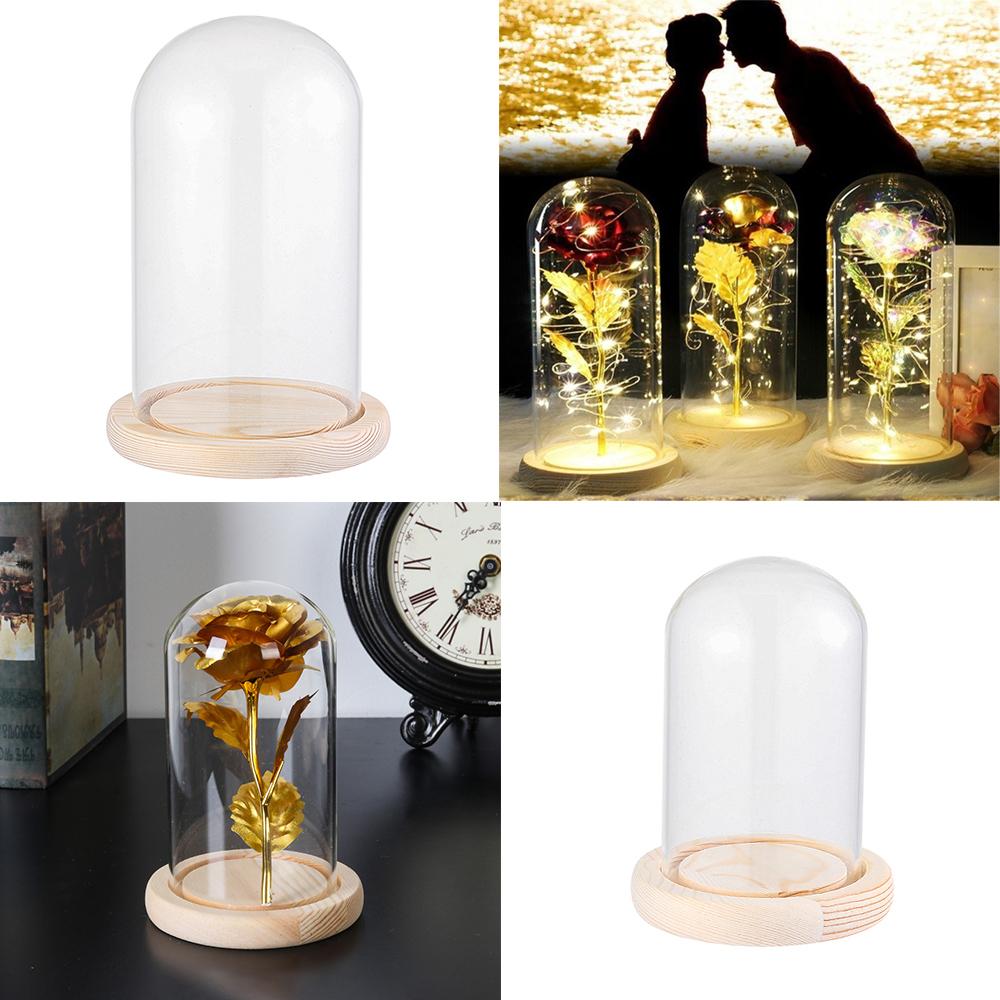 Home Decor Jar Glass Vase Transparent Bottle Dust Cover Wooden Base Glass Cloche Flower Storage Box