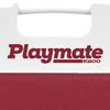 Igloo Playmate PAL Cooler Box Diablo Red #7362