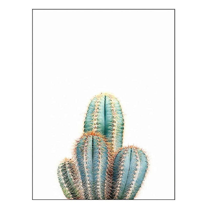 Белый тюльпан, зеленые суккуленты, алоэ монстера, растение, художественный плакат на скандинавскую тему, живопись на холсте и настенные панно для декора гостиной