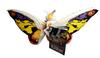 Movie Monster Series Mothra 2002