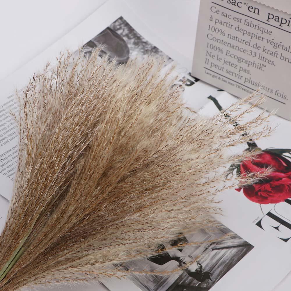 Красивый подарочный тростник для свадьбы, букет цветов, растения, пампасная трава, домашний декор, сухоцветы, тростник