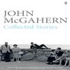 Collected Stories by John McGahern Paperback Book 9780571312634