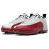 Jordan 12 Ретро Низкие Гольф Вишня Джордан DH4120-161