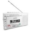 Panda6503 USB Мини-записывающее устройство для карт TF с портативным радио