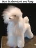 Teddy Dog Fake Hair Model Beauty Fake Dogs Simulation Hairs Model Practice Poodle Modelling Skeleton Grooming Full Body Trim