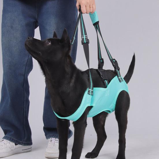 Dog Lift Harness Full Body Support Rehabilitation Dog Sling Carrier Adjustable Recovery Dog Lifter Vest for Old Joint Injuries Arthritis Disabled Dogs