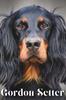 Книга Gordon Setter : Dog Breed Overview and Guide