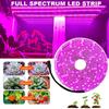 5M Светодиодная лампа для выращивания растений Полный спектр 5V USB Светодиодная лента для выращивания растений 2835 Светодиодные фитолампы для растений Теплица Гидропонная лампа для выращивания