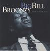 CD BIG BILL BROONZY Теплый, остроумный и мудрый CK65517 COLUMBIA 1998 Япония Блюз Б/у
