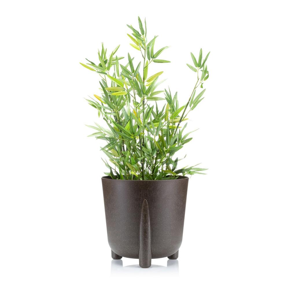 Donica Moss Eco Coffee Espresso 30Xh28