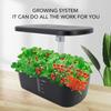 Система выращивания растений на гидропонике для внутреннего сада, набор из 6 капсул для проращивания растений с подсветкой, гидропонная установка для выращивания 100?240В