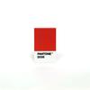 Кейс для визиток Pantone (Красный 2035) - Матовый тип