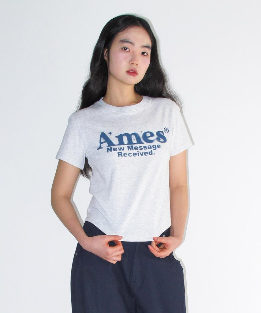 AMES-WORLDWIDE Укороченная футболка с округлым низом Светло-серая