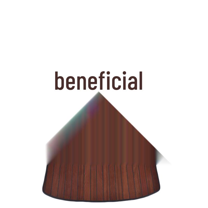 Коврики из тикового дерева для Buick GL8 2020 Avenir Fathead Fish Lucene ES25S