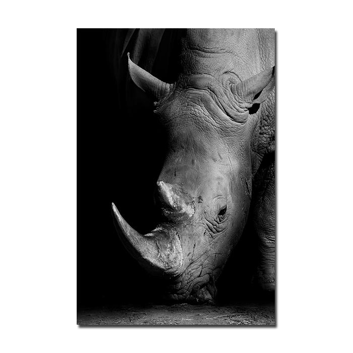 Черно-белый холст с животными, настенная живопись, лев, жираф, зебра, скандинавские постеры и принты, настенные панно для украшения гостиной