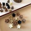 10Pcs/set Small Flower Hair Claw Clips for Women Girls Matte Rectange Jaw Clips Semicircle Barrettes for Thin Hair