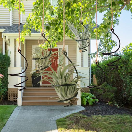 6 шт. держатель для воздушных растений металлический подвесной контейнер для тилландсии регулируемый вихревой держатель для воздушных растений для домашнего офиса балкона садовый декор