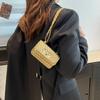 Embroidered Thread Chain Bag Women's Spring and Summer New Fashion Sense Messenger Bag Lock Mini Square Bag